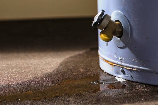Reliable Roberts, WI Water damage restoration Solutions