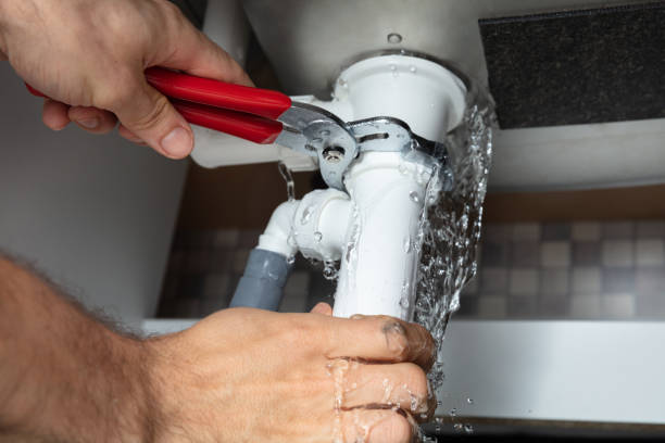 Best Flood damage cleanup  in Roberts, WI