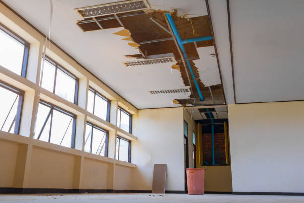 Best Water damage restoration near me  in Roberts, WI