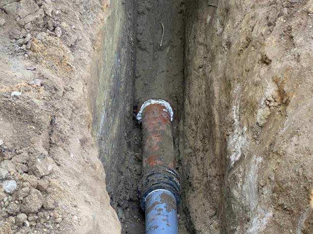 Best Flood restoration services  in Roberts, WI