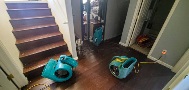 Best Local water damage restoration  in Roberts, WI