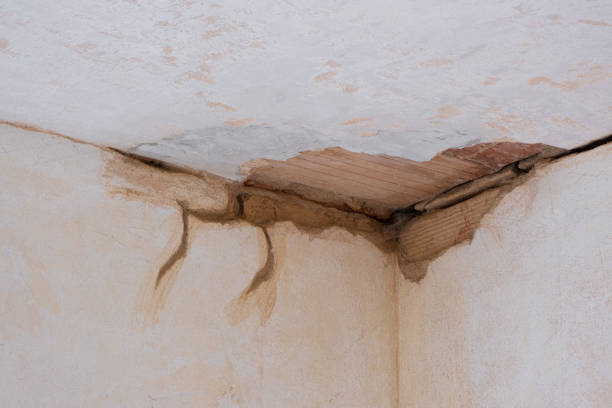 Best Water damage restoration company  in Roberts, WI