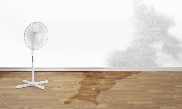 Best Sewage cleanup and water damage restoration  in Roberts, WI