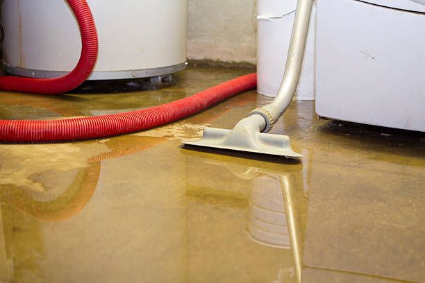 Trusted Roberts, WI Water damage restoration Experts