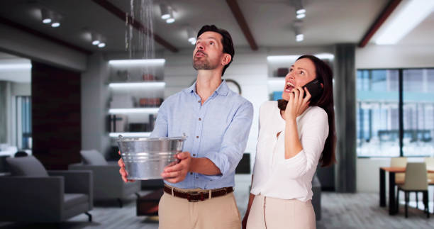 Best Water damage cleanup near me  in Roberts, WI